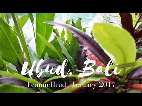 Ubud, Bali | January 2017