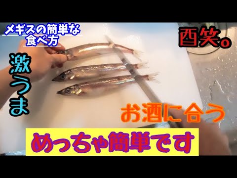 セルコメギスティーナについて詳しく解説