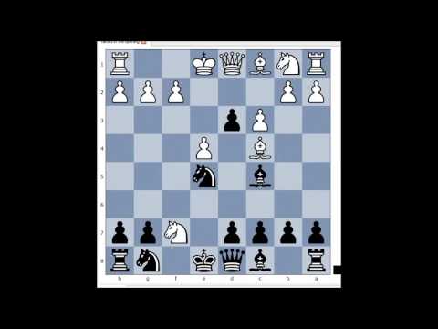 Reuter vs Schlenker 1993