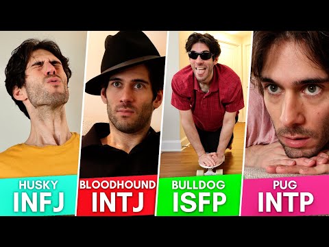 16 Personalities as Dog Breeds