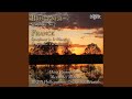 Symphony No. 2 in C Minor: II. Andante - Feierlich, etwas bewegt