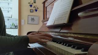 Svartsot - Nidvisen - Piano Cover