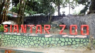 preview picture of video 'SIANTAR ZOO'