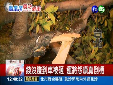 颱風冒險做生意 小黃遭樹砸玻璃