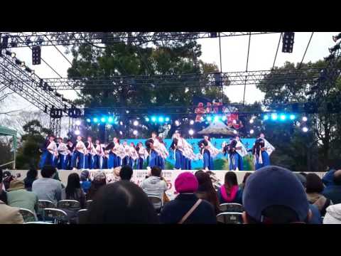 看護学科 九州がっ祭 第肆回火の国青春合戦～春の陣～「鹿児島国際大学 創生児 創咲」