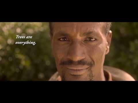 EthioTrees, a Plan Vivo certified project located in Ethiopia