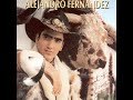 Equivocadamente - Alejandro Fernandez
