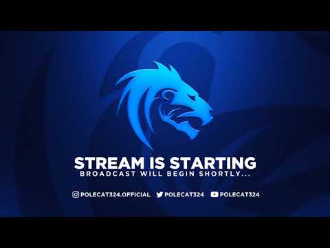 Polecat324 Stream INTRO song.