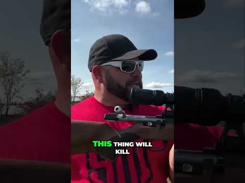 Capable Hunting Rifle or No? Stevens model 334 .308 Review Preview.