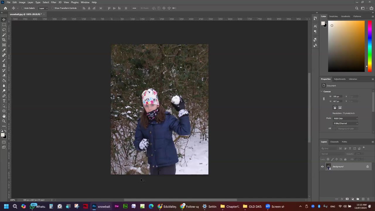 Video preview