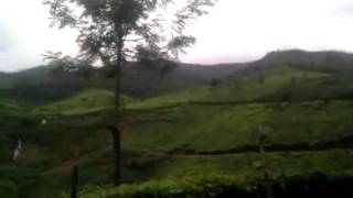 preview picture of video 'Munnar kerala india... piantagioni te''