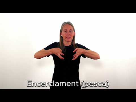 Encerclament (pesca) - LSC