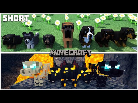 Add Over 30 New Dogs To Minecraft With This Resource Pack - Better Dogs Resource Pack [Short]