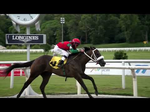 220220 c03 MUY PICANTE