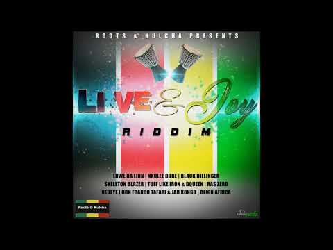 Don Franco Tafari And Jah Kongo - Coulda Never