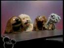 Rowlf the Dog - May You Always (Song to Lassie) s01e16