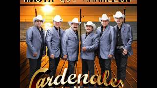 HASTA QUE AMANEZCA CARDENALES DE NL