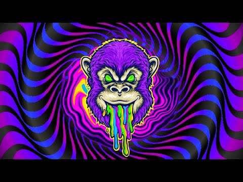 Barox - No One Can Stop Acid