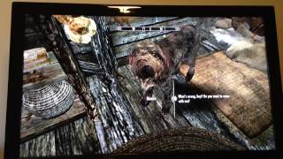 Skyrim- How to get rid of a lost follower