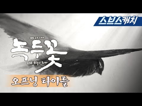 배경음악부터 역대급 퀄리티인 녹두꽃 오프닝 ㄷ ㄷ 혼자보기 아까워 공개합니다! 《녹두꽃 / 스브스캐치》