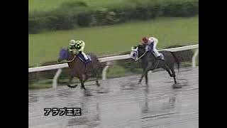 楠賞帰りのヤマノユーノス　生涯最後の勝利となったアラブ王冠