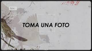 Bring Me The Horizon - Who Wants Flowers When You&#39;re Dead? Nobody // Subtitulado Español