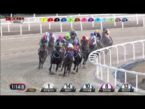 Turkey Jockey Club Trophy 2012 - Watts Village