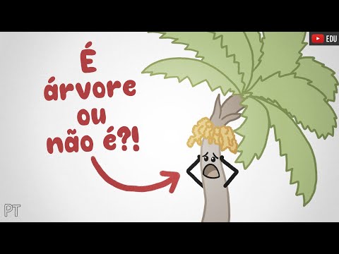 Ninguém sabe o que é uma árvore (e esse vídeo não vai responder)