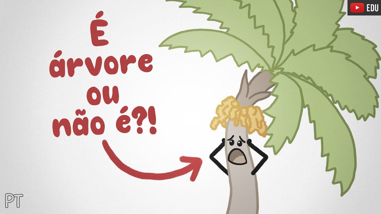 Ninguém sabe o que é uma árvore (e esse vídeo não vai responder)
