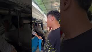 Download lagu Kamadi porestu huijik khappp mp3