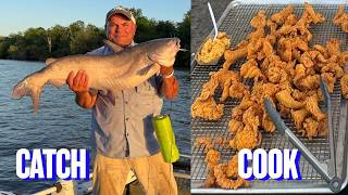 Huge Catfish On Jug Lines (Catch * Cook) Fried Fish , Shrimp Rice and Boiled Shrimp