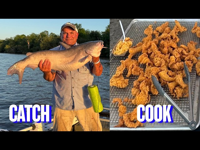 Huge Catfish On Jug Lines (Catch * Cook) Fried Fish , Shrimp Rice and Boiled Shrimp