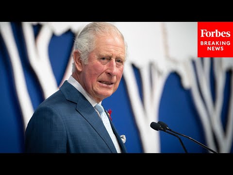 'We Have To Act': Prince Charles Urges Urgent Action On Climate Change At COP26 Summit