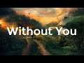 Chris Brown - Without You (Lyrics) | I can live without money