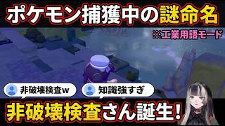 【ぽこあポケモン#6】ポケモン捕獲を"非破壊検査"と工業用語で命名してしまう"らでんちゃん"【儒烏風亭らでん/らでん/ホロライブ/ReGLOSS切り抜き】