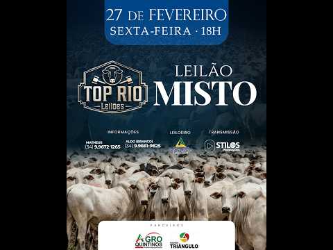 LEILÃO MISTO 27/02/2026 - TOP RIO LEILÕES - RIO PARANAÍBA-MG