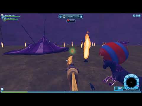 Wöchentliches Pferdelvln KW 53 2020