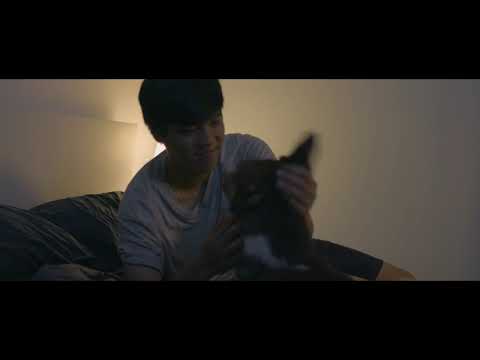 Goodbye Buddy Pitch Video