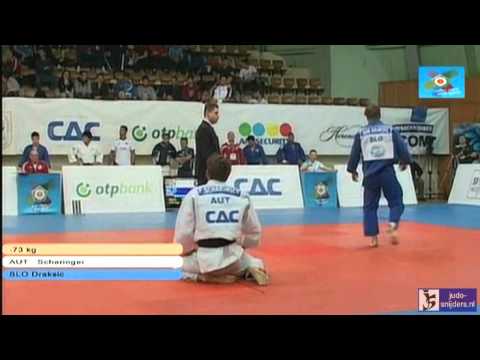 Judo 2013 European Open Men Budapest: Scharinger (AUT) - Draksic (SLO) [-73kg]