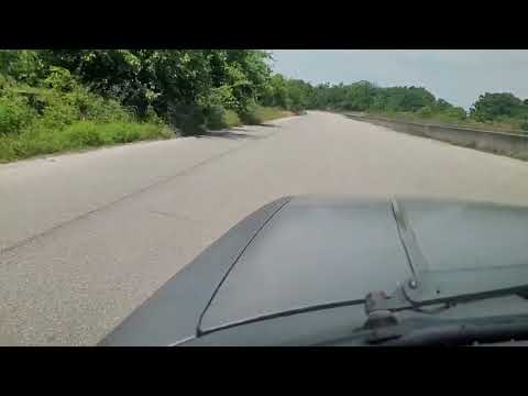 1981 Volvo 242 (CC-1835060) for sale in Savannah, Georgia