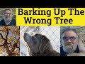 🔵 Barking Up the Wrong Tree Meaning - Bark Up the Wrong Tree Definition - Barking Up the Wrong Tree
