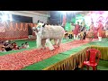 Akash Anjana Jhanki Group Etawah Mo 8410141215