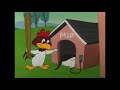 Feather Bluster 1958 Opening And Closing