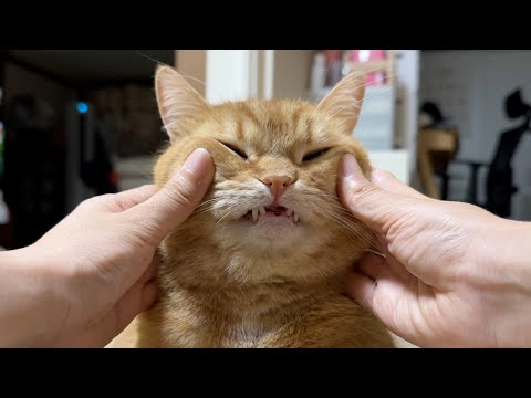 더위는 귀여움으로 극뽁! 덕배네 가족의 여름나기