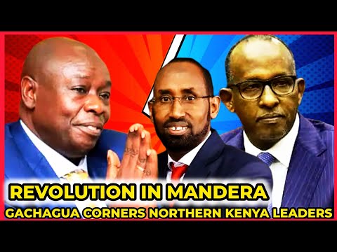 GACHAGUA WINS BIG: Northern Kenya Genzs Declare War On Duale And Rutos Mps After Gachaguas Interview