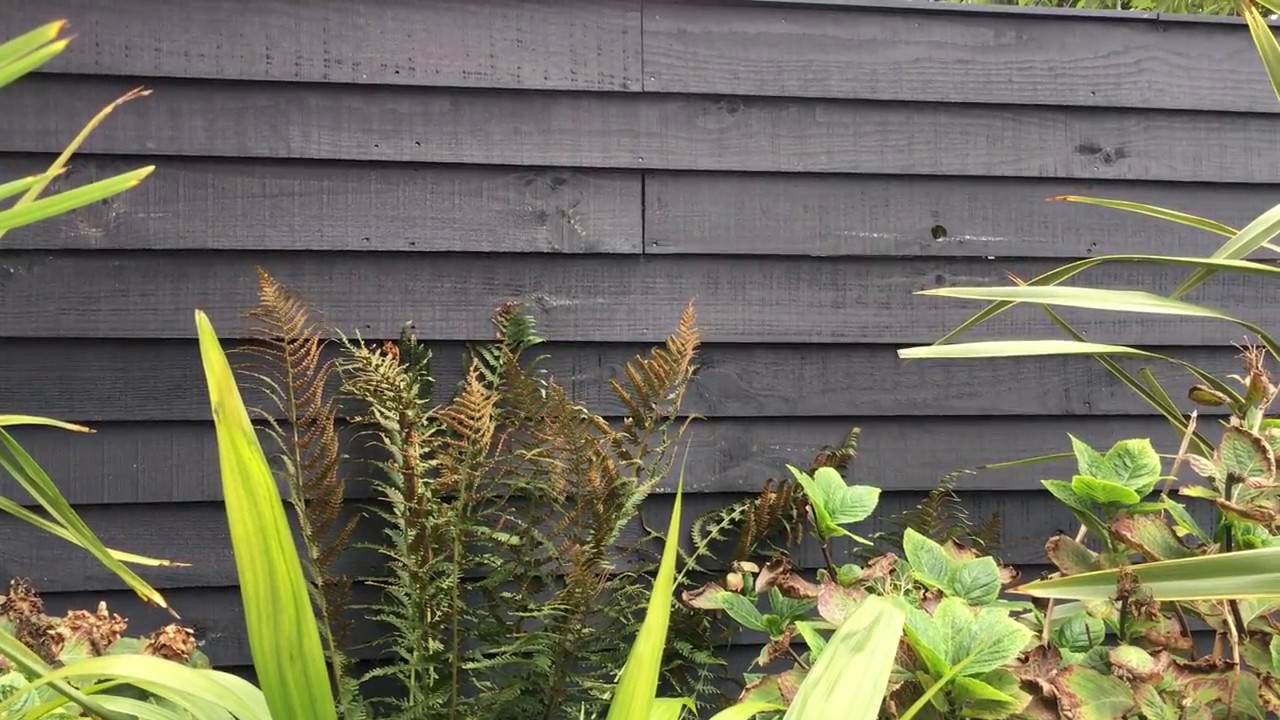 Cuprinol Fence Paint - Silver Copse - UPDATE!