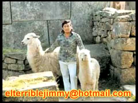 CHACALON TRISTE DESPEDIDA