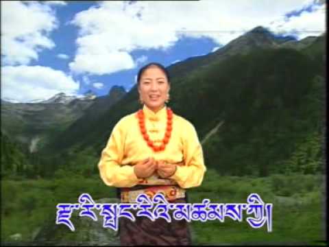 tibetan song mertok by choatso kyi
