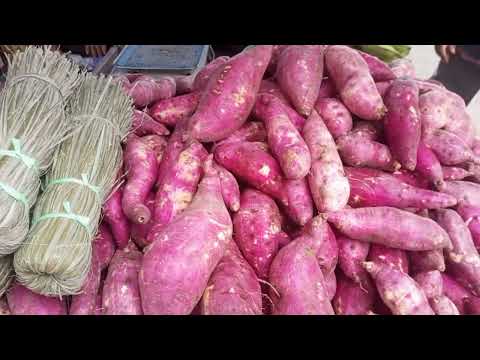 Feira de segunda feira, são Miguel dos Campos Alagoas 