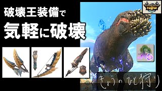 【モンハンNow】イビルジョー次元変異を気軽に破壊！双剣、弓、ガンランスで破壊王！[ ソロ｜星8｜星9｜大連続狩猟｜部位破壊 ]